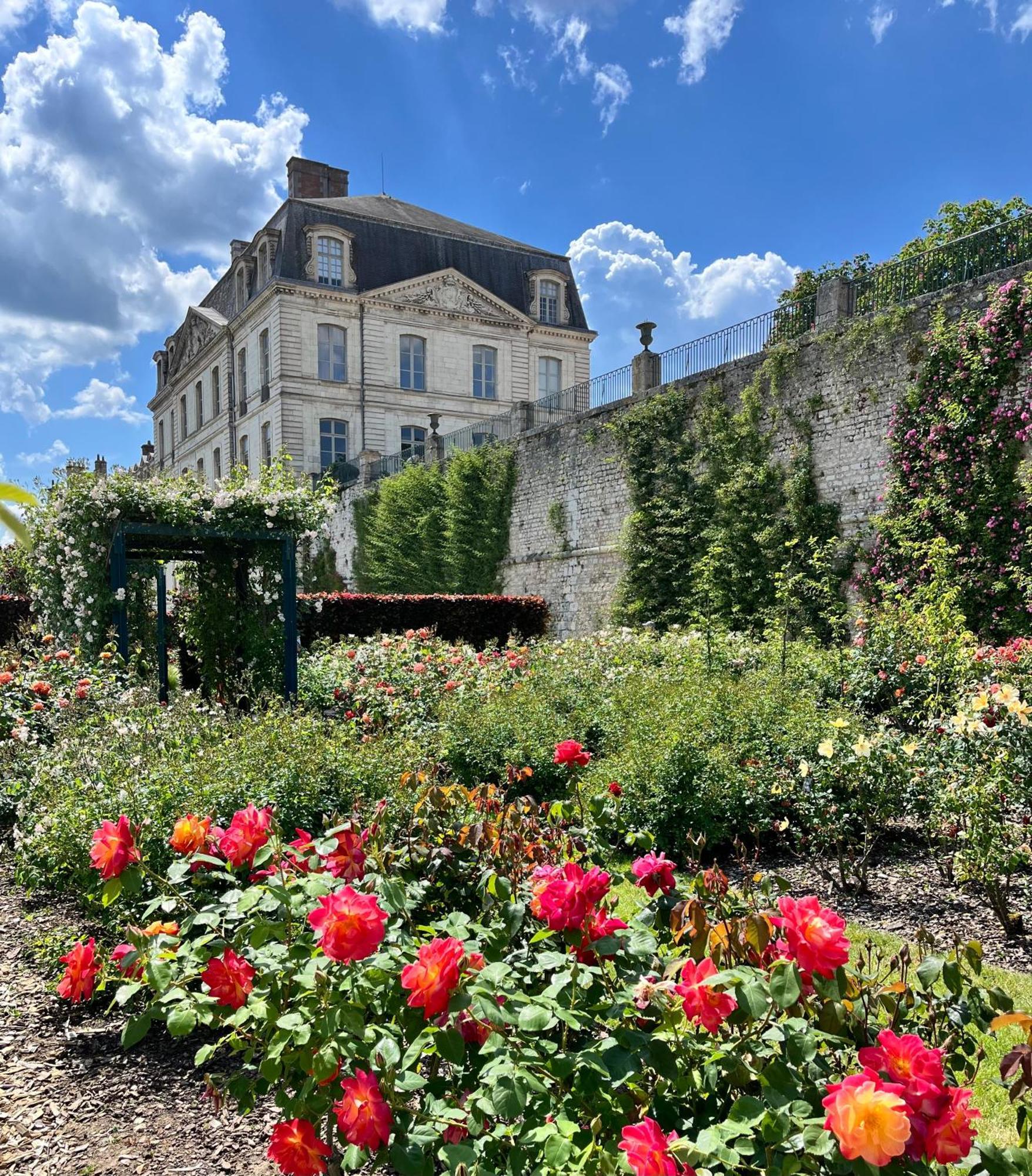 Chatel Rose - Historical Centre With Garden บลัวส์ ภายนอก รูปภาพ